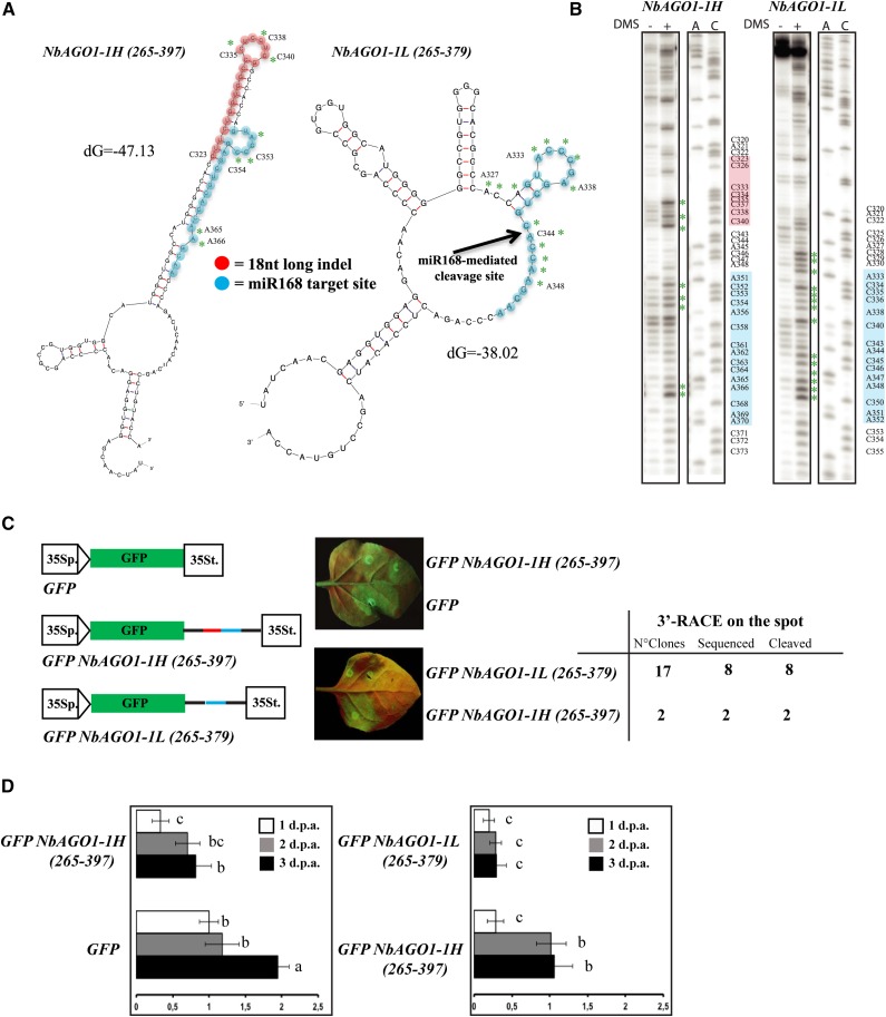 Figure 3.