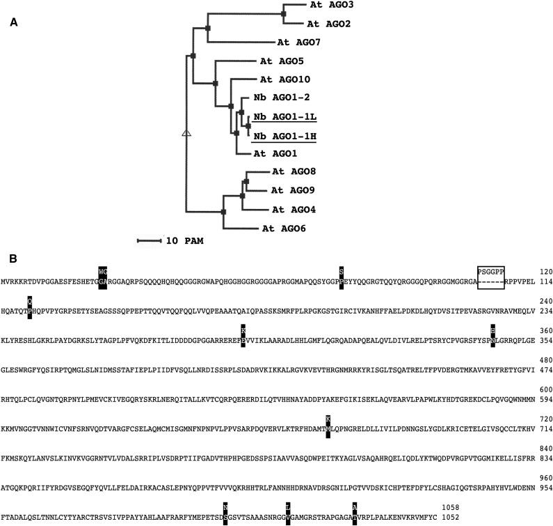 Figure 5.