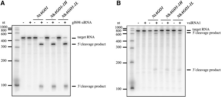 Figure 6.