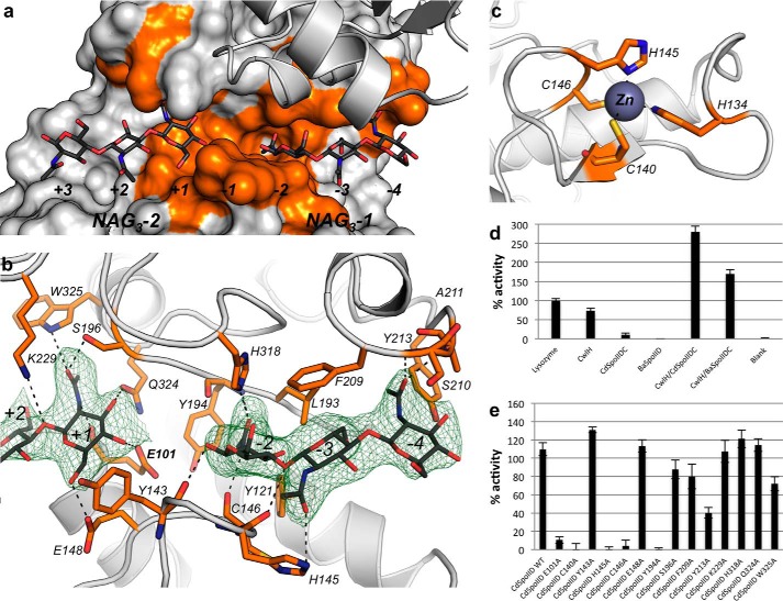 FIGURE 4.