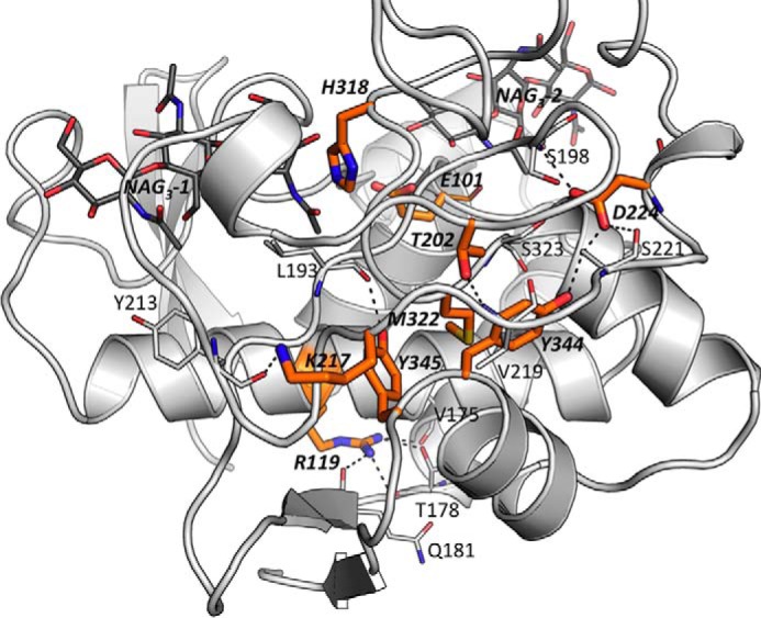 FIGURE 5.