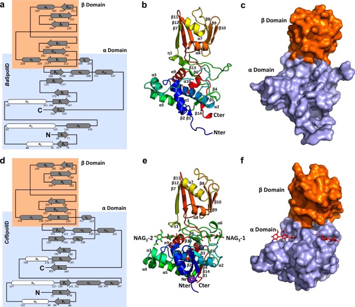 FIGURE 2.