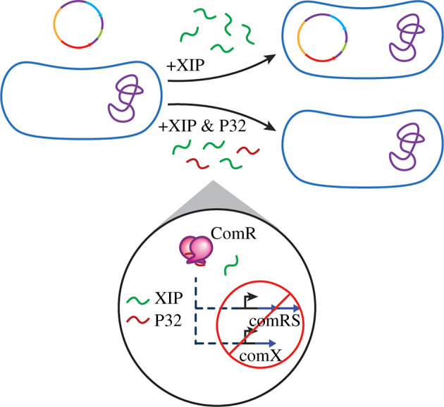 Figure 7. 