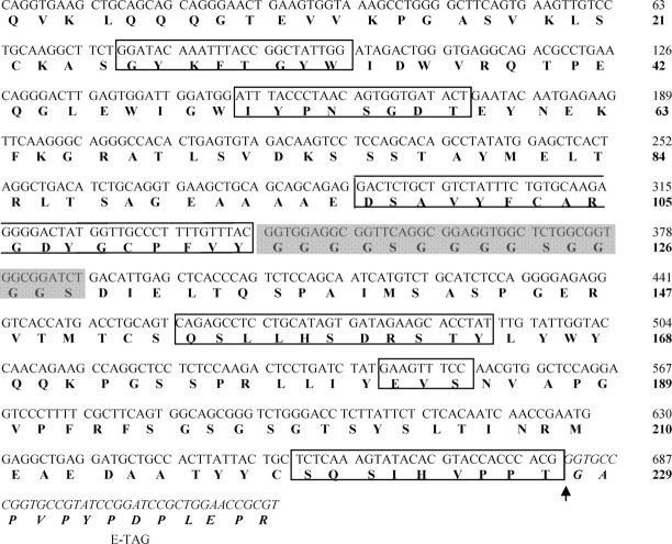 Figure 4: