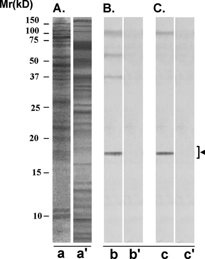 Figure 9: