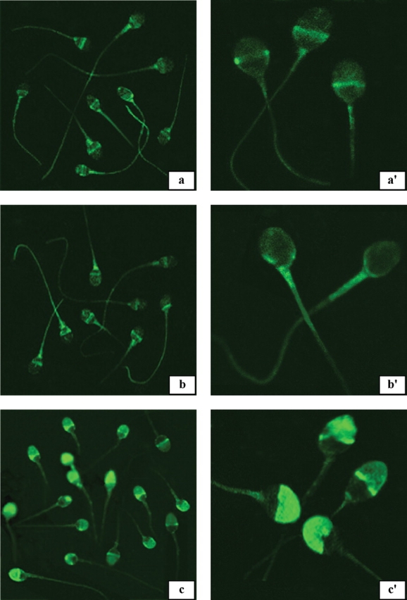 Figure 10: