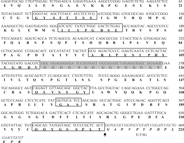 Figure 2: