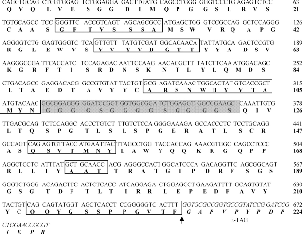 Figure 3: