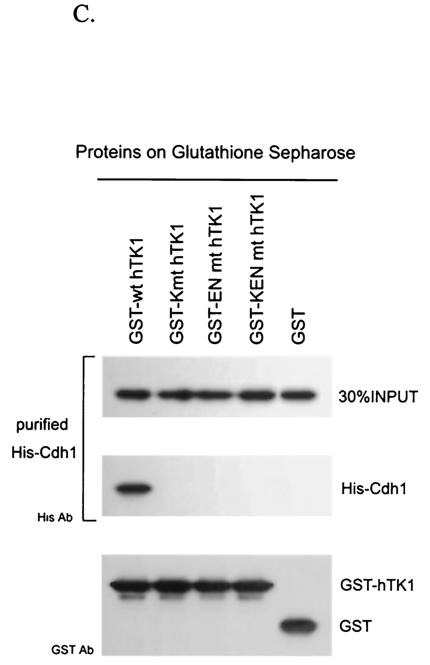 FIG. 6.