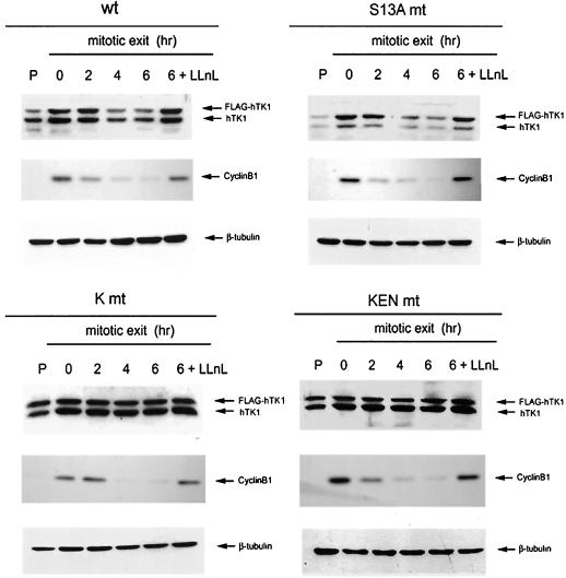 FIG. 5.