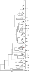 Figure 1