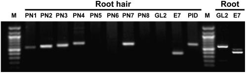 Figure 6.