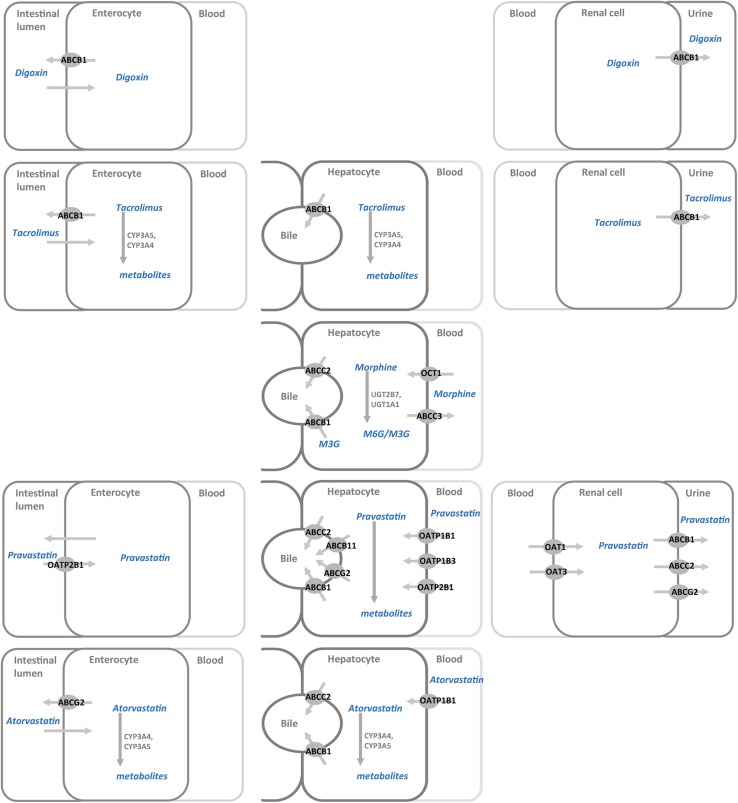 Fig. 2