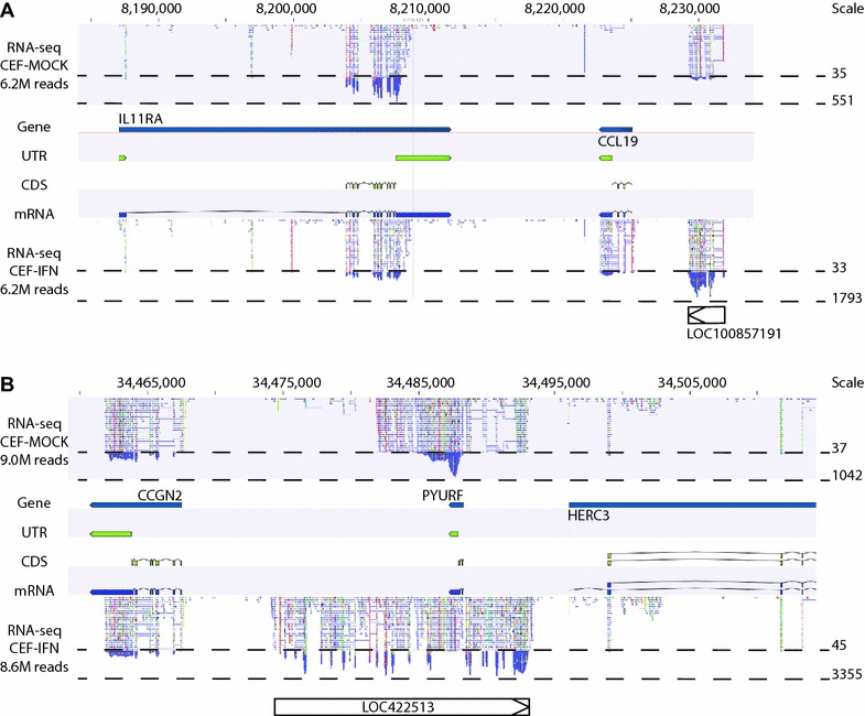 Figure 4