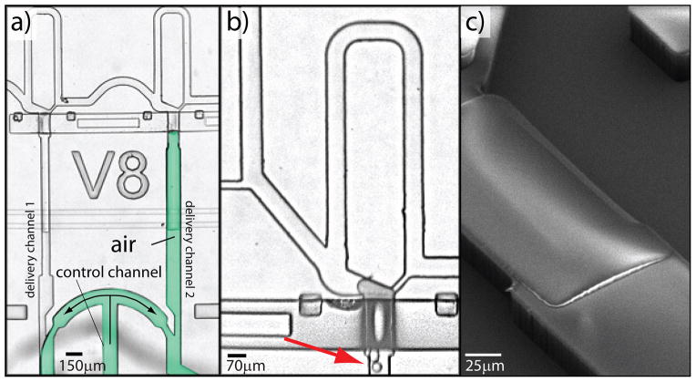 Fig. 4