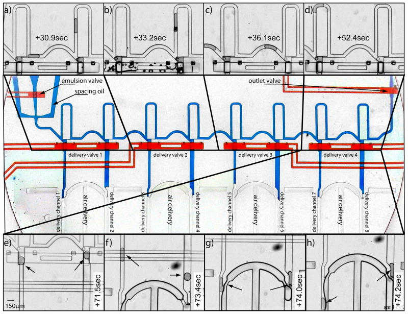 Fig. 5