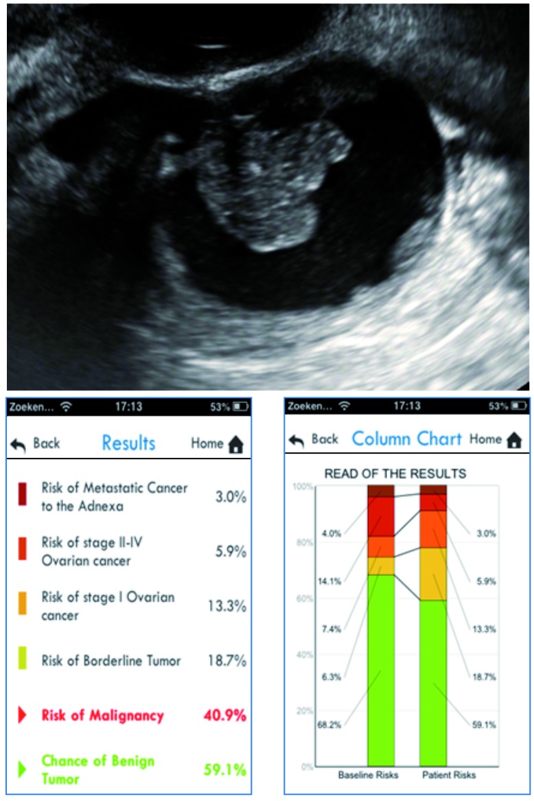 Fig. 4