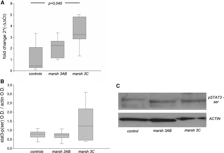 Fig. 4