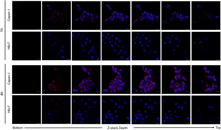 Figure 3