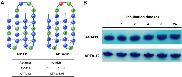 Figure 1