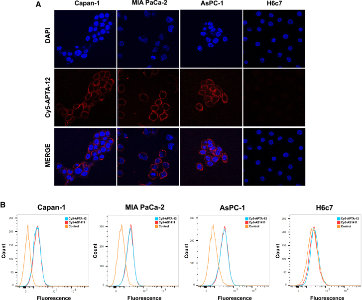 Figure 2