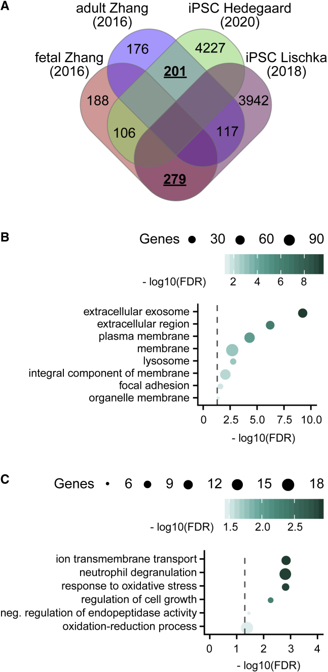 Figure 6