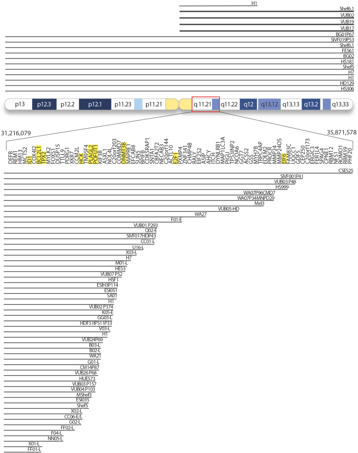 Figure 1