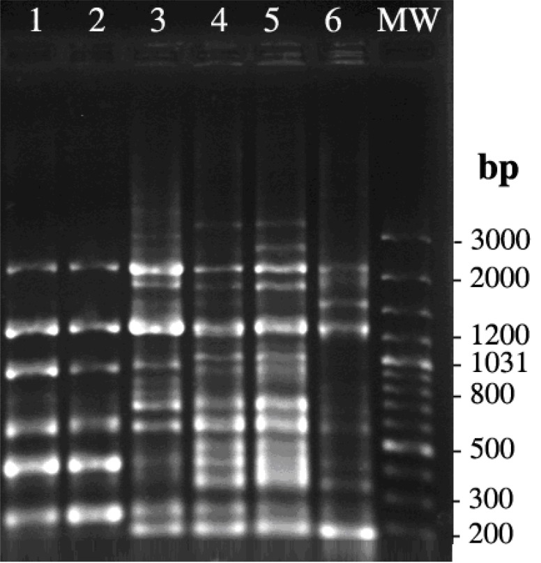 Fig. (1)