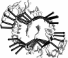 Fig. 2.