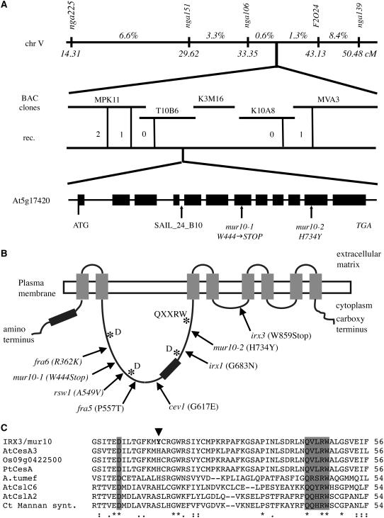 Figure 4.