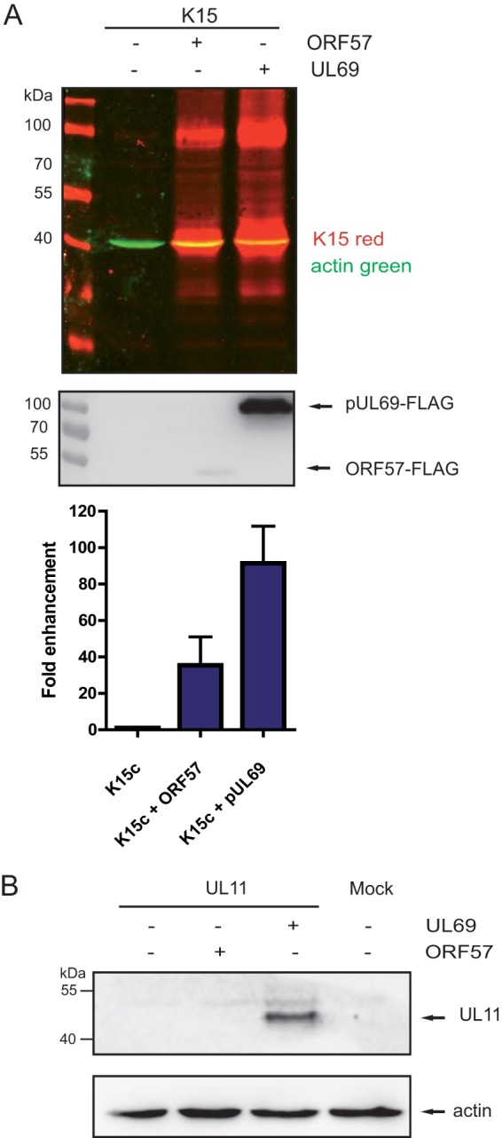 FIG 5