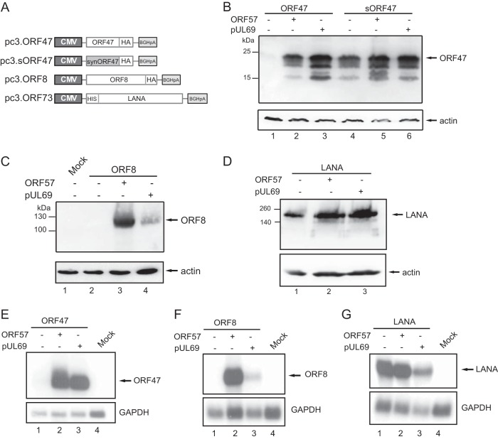 FIG 3