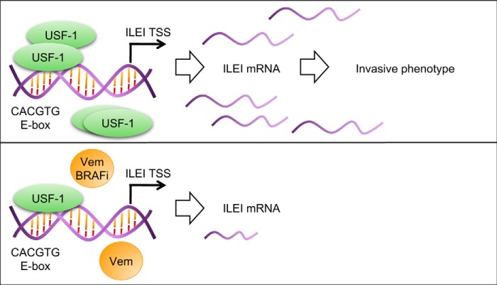 Figure 11.