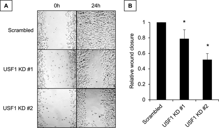 Figure 10.