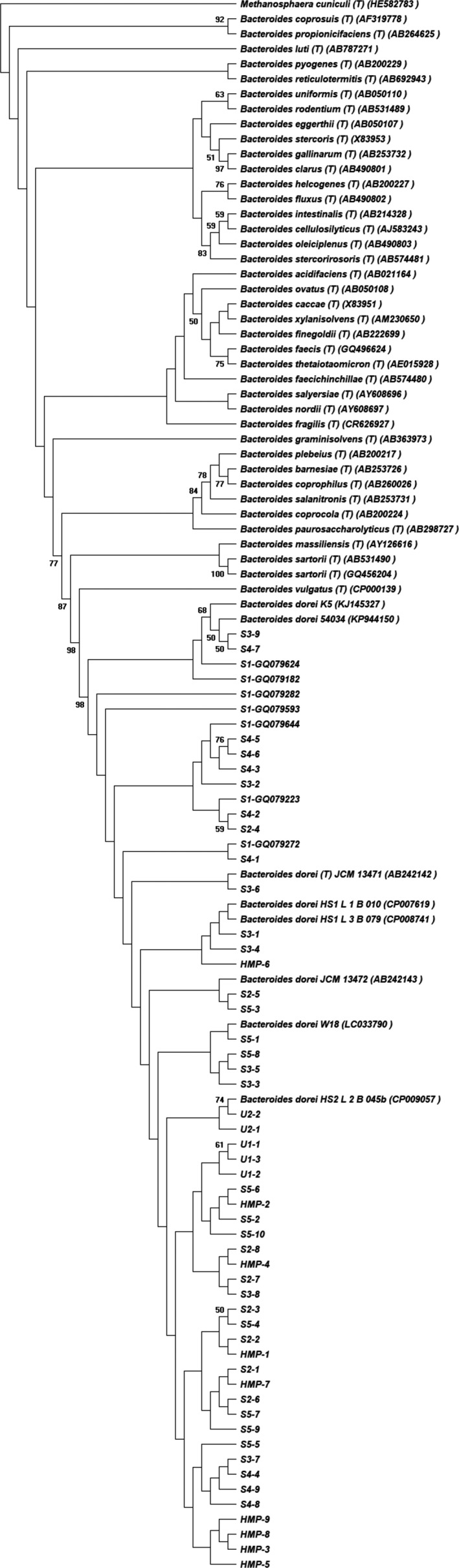 FIGURE 1