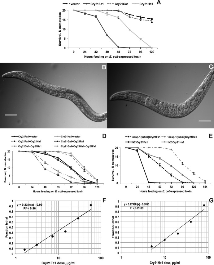 FIG 3