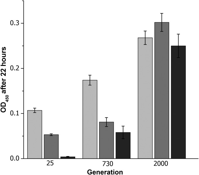 FIG 1