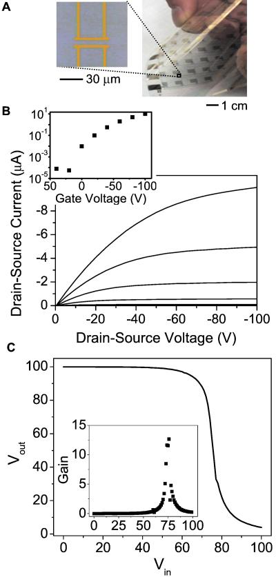 Fig 3.