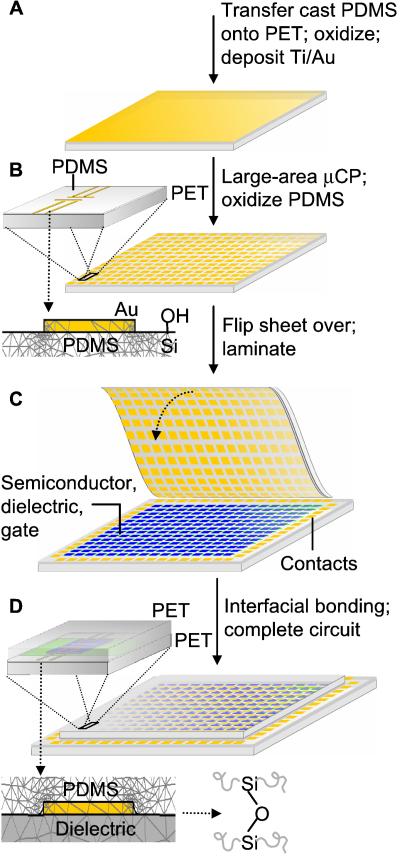 Fig 1.