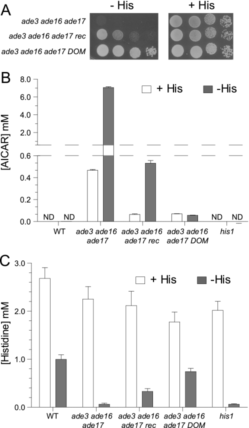 FIGURE 2.