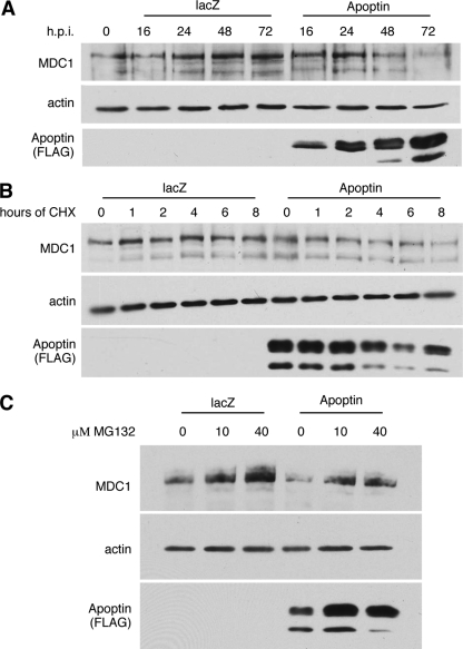 Fig. 9.