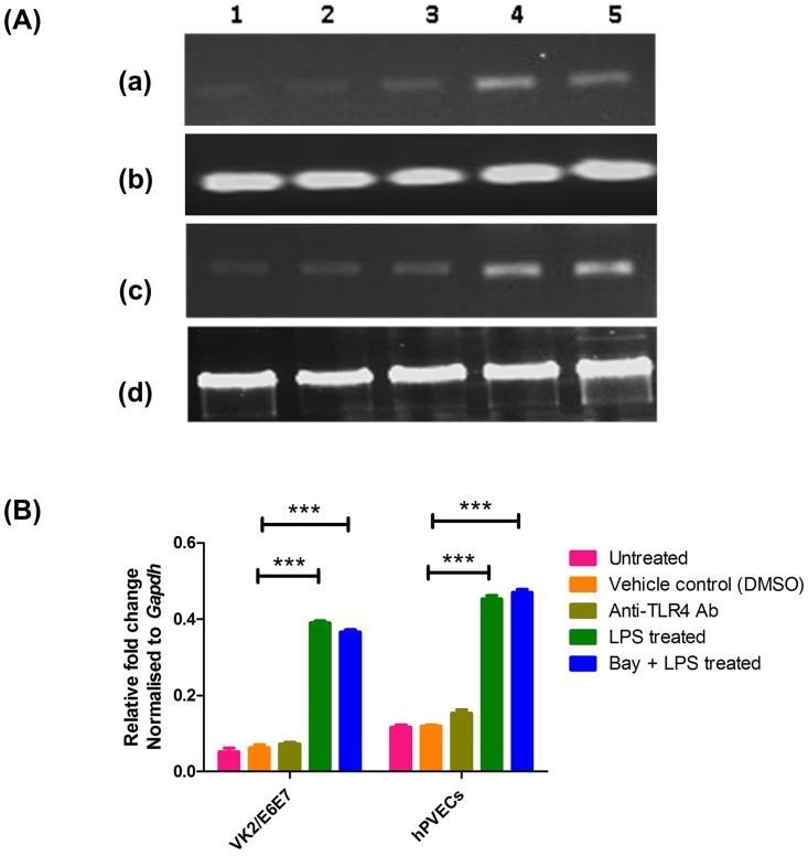 Fig 10