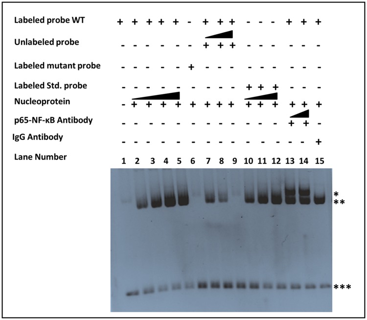 Fig 14