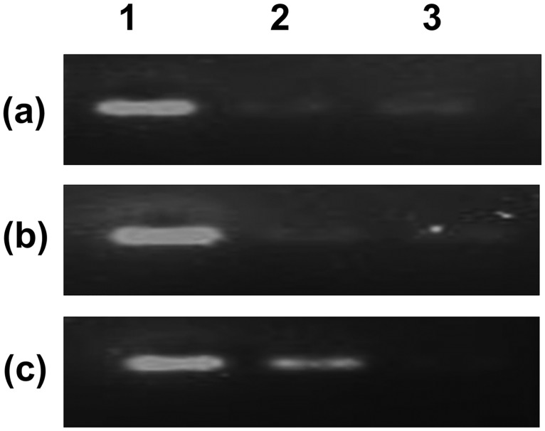 Fig 15