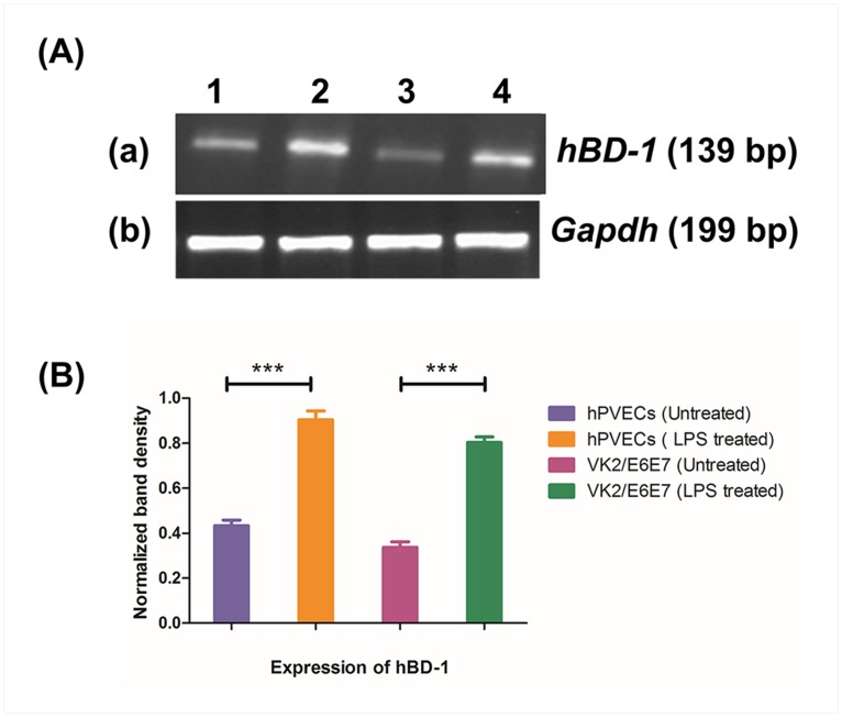 Fig 13