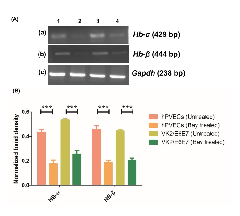 Fig 12