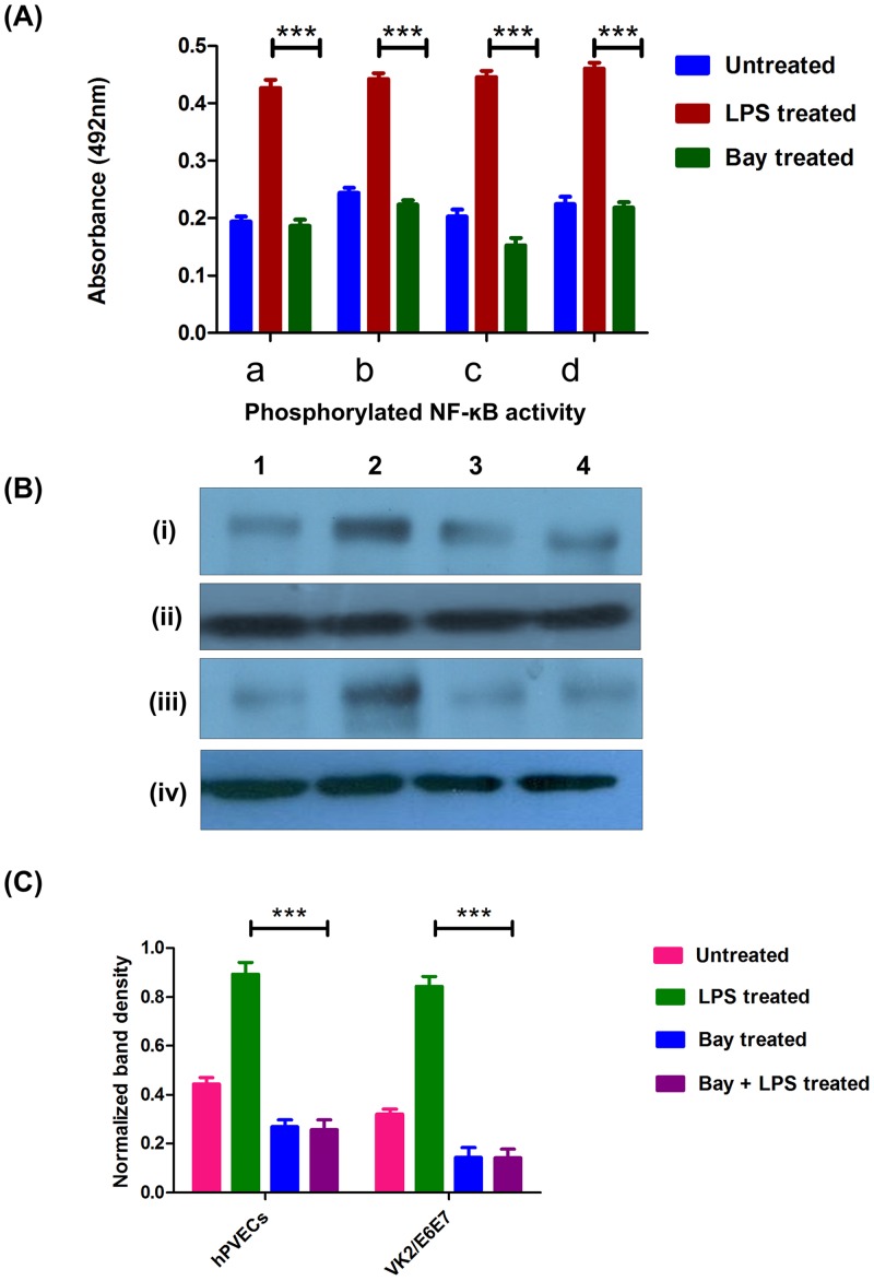 Fig 9