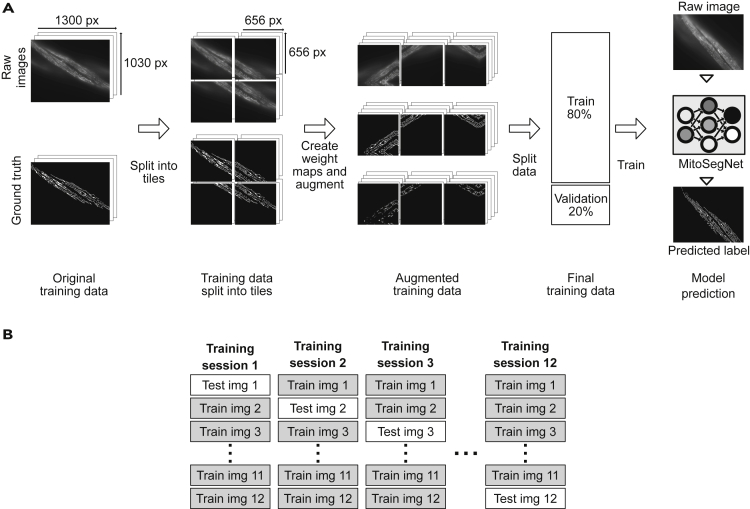 Figure 1