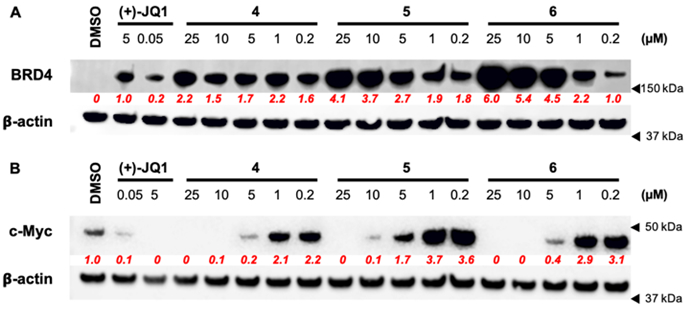 Figure 4.