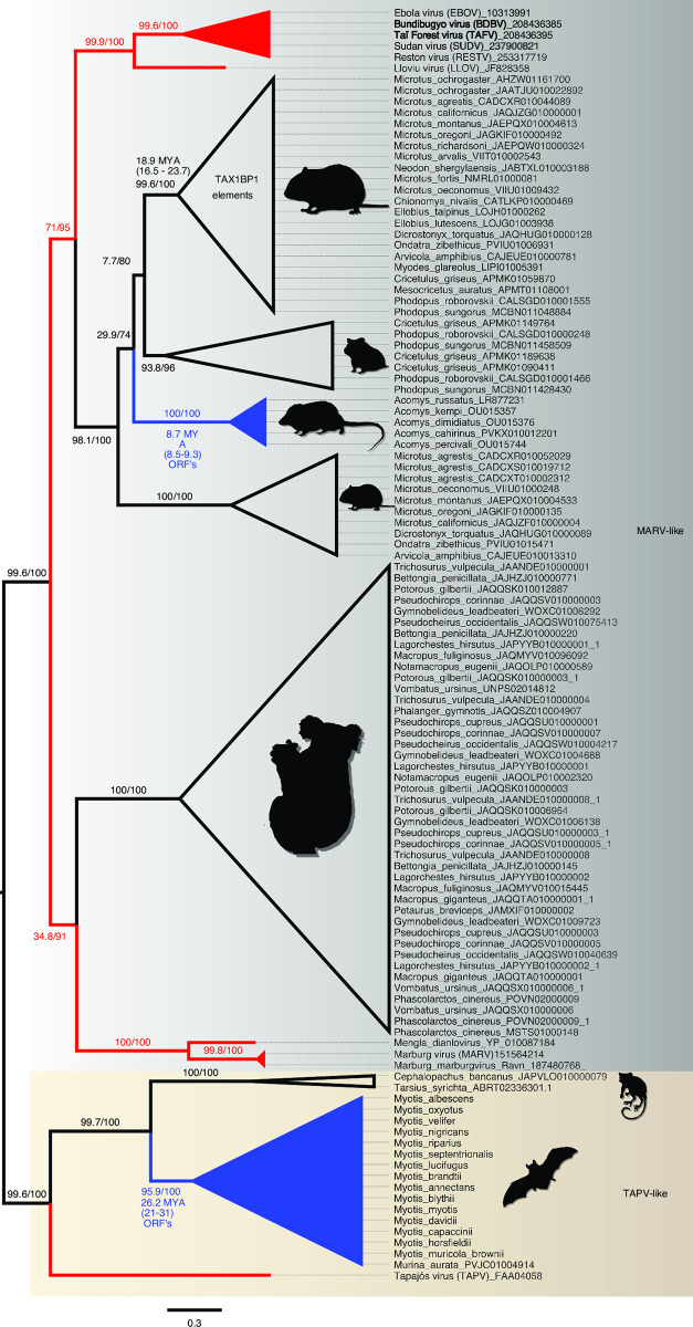 Fig 6